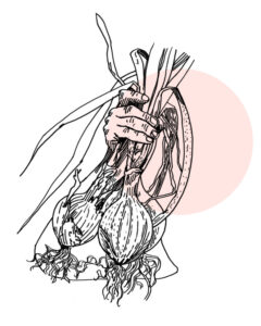 slottsholmen-graphic01